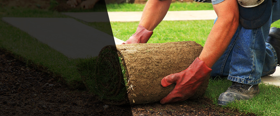 Eupora Landscapers